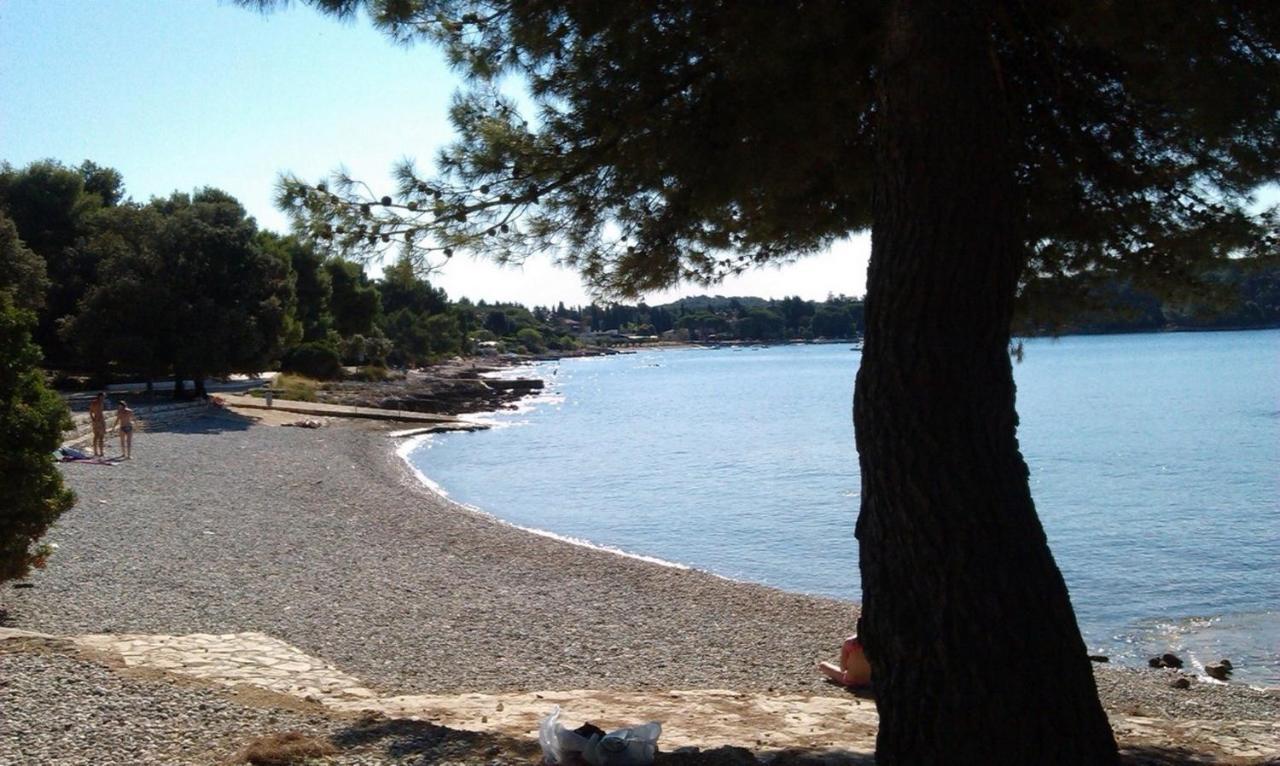 Studio Green Garden Borik Rovinj Bagian luar foto